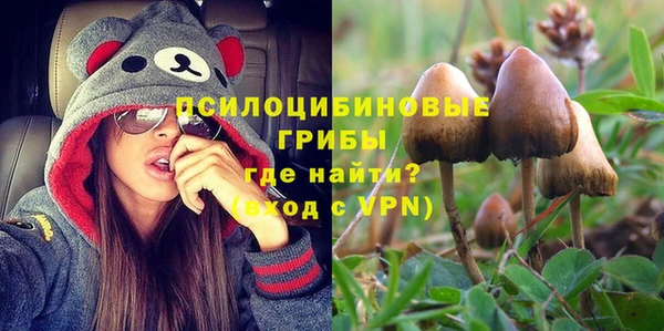 стафф Белокуриха