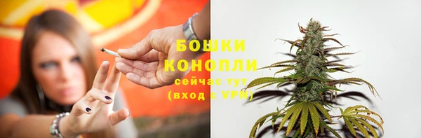 стафф Белокуриха
