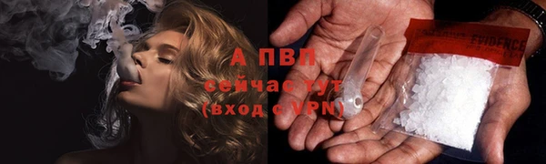 крисы Белоозёрский