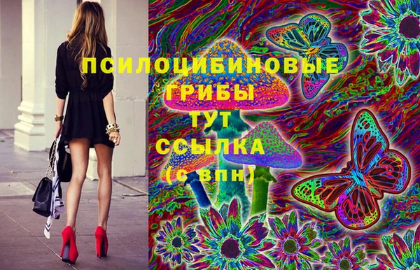 стафф Белокуриха